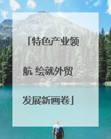 特色产业领航 绘就外贸发展新画卷
